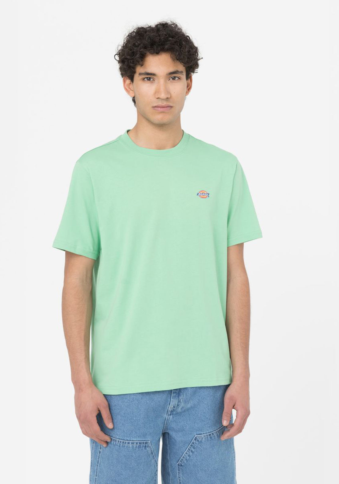 Dickies Mapleton T-shirt (olive green)