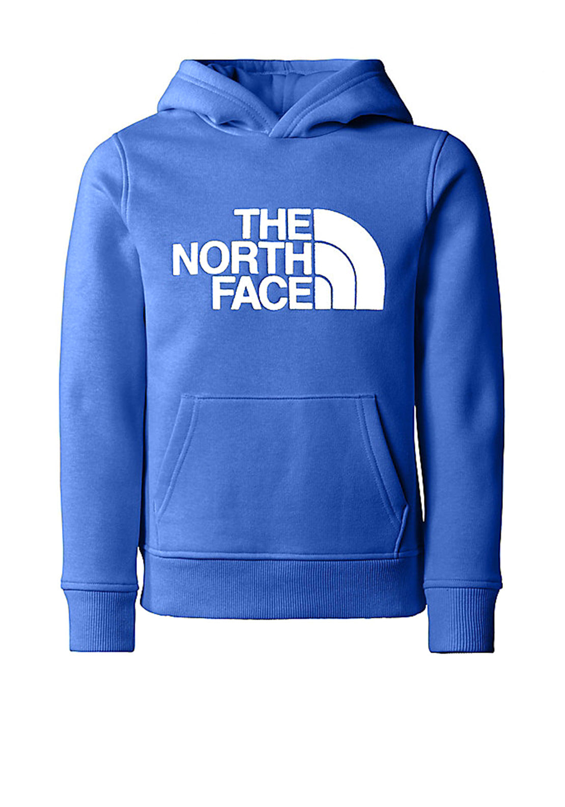 Boys north store face hoodie