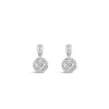 Absolute Solitaire Halo Drop Earrings, Silver