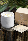 Irish Botanicals Chamomile & Bay Leaf Candle, 350g