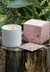 Irish Botanicals Wild Rose & Stinging Nettle Candle, 350g