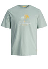 Jack & Jones Casey T-Shirt, Grey Mist