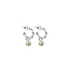 Newbridge Silverware August Birthstone Earrings, Silver