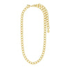 Pilgrim Charm Curb Necklace, Gold