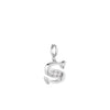 Rebecca My World 3D Letter S CZ Charm, Silver