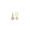 Ti Sento CZ Hook Earrings, Gold