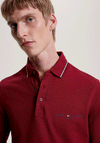 Tommy Hilfiger Signature Tipped Polo Shirt, Rouge