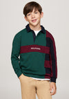 Tommy Hilfiger Boy Long Sleeve Polo, Green Multi