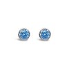 Absolute Birth Stone Stud Earrings, December