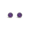 Absolute Birth Stone Stud Earrings, February