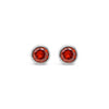 Absolute Birth Stone Stud Earrings, January