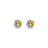 Absolute Birth Stone Stud Earrings, November