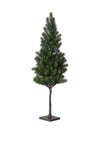 Coach House Medium Pine Tree on Stand