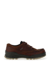 Ecco’s Men’s Gore-Tex Leather Waterproof Shoe, Brown