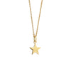 Newbridge Amy Star Pendant Necklace, Gold