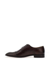 Sloane Garcia Oxford Cap Toe Shoes, Brown