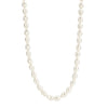 Ti Sento Milano Pearl Beaded Necklace, White