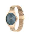 Tommy Hilfiger Womens Jenna Mesh Strap Watch, Rose Gold & Black