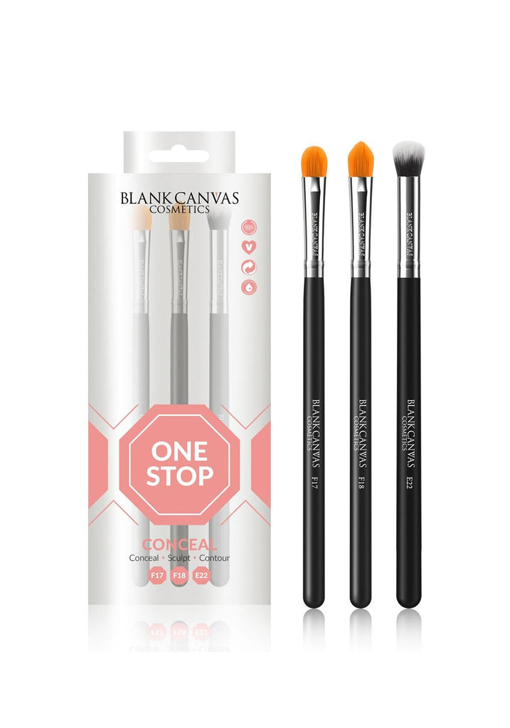 Blank Canvas One Stop Conceal 3 Piece Brush Set McElhinneys