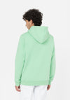 Dickies Oakport Hoodie, White Apple Mint