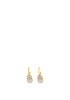 Absolute Opal Disc Drop Earrings, Gold