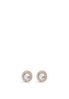 Absolute Rose Gold Crystal Disk Earrings