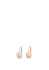 Absolute Diamante Disc Earring, Rose Gold