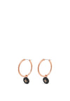 Absolute Hematite Star Hoop Earrings, Rose Gold