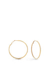 Guess Large Crystal Hoop Earrings, Gold