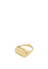 Restoration Signet Ring Goldplated