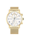 Tommy Hilfiger Mens Metal Mesh Strap Watch, Gold